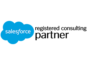Salesforce consulting partner