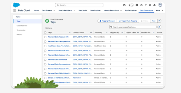 Policy-based Governance in Data Cloud 