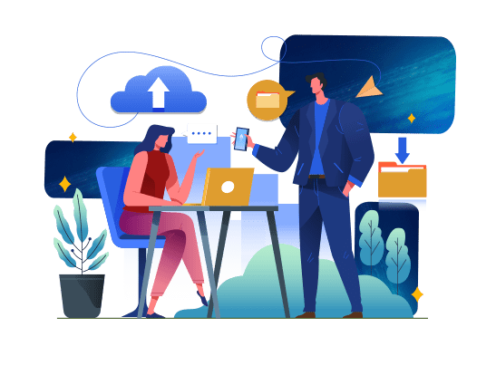 Certinia Professional Services